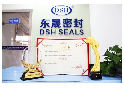 獎杯和榮譽證書 -東晟泛塞封密封圈